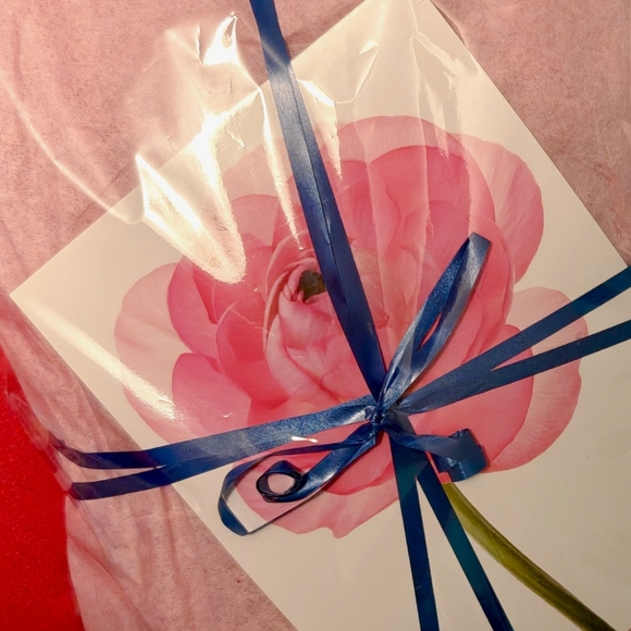 Meet your posher, Tamära - Picture 4 of 4